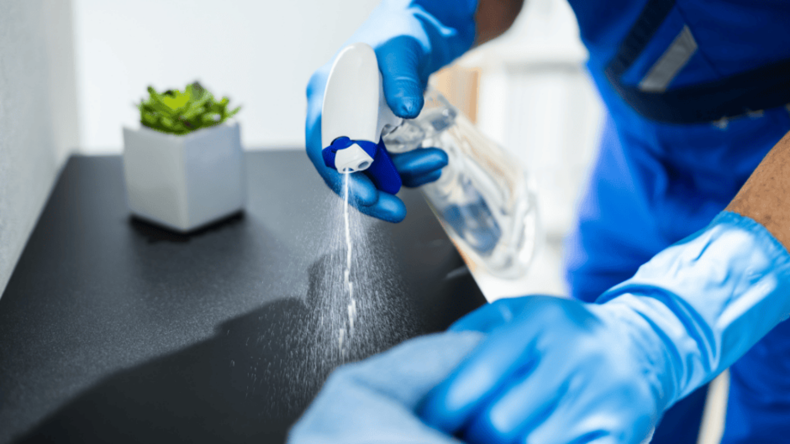 Elevating Hygiene Services